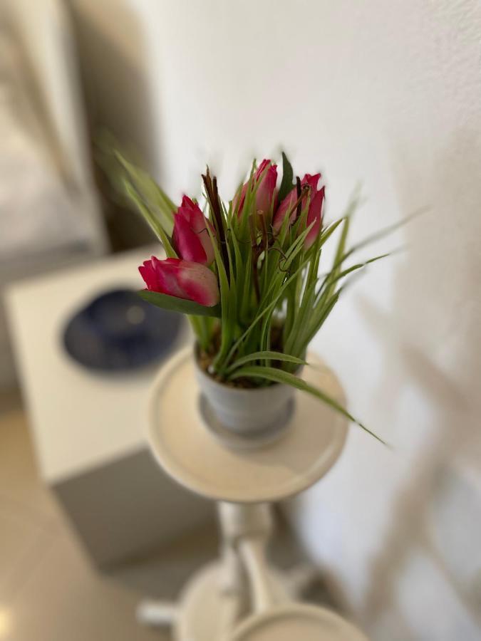Studio Apartment Klaric Вис Екстериор снимка